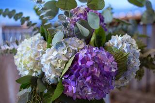 Beyond Floral - 106