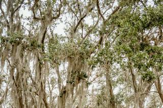 Florida Rustic Barn Weddings - 48
