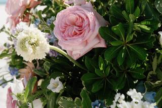 Tom Trovato Event Floral & Design - 6