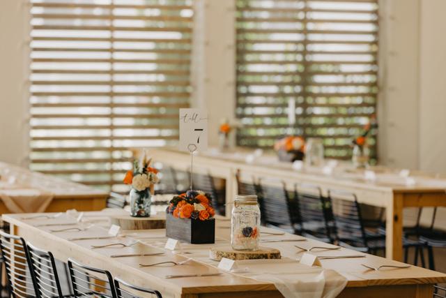 Charise Healy Photography - 3
