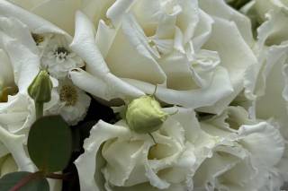 Eloping in Ireland - Destination Wedding Planner in Ireland - 61