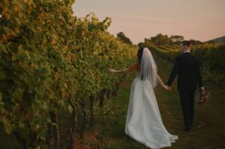 Big Cork Vineyards - 10