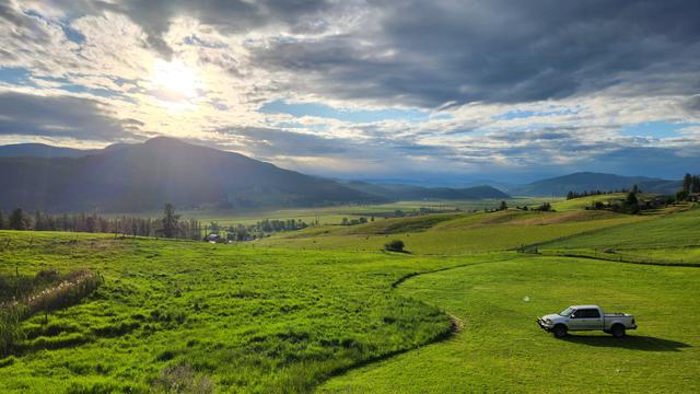 The Farm - 3