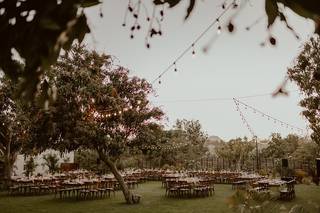 Bliss Events by Bonnie Chase - 45