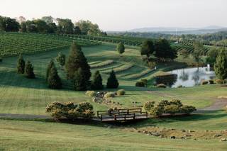 Stone Tower Winery - 19