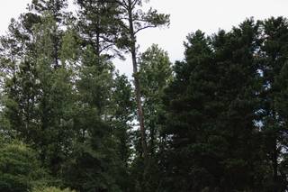 Chateau des Lions - 13