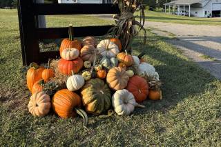 Kentucky Acres Farm - 2