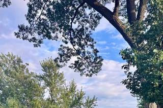 Leopold's Mississippi Gardens - 8