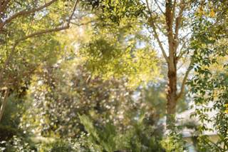 Erica Bonorden Photography - 13