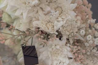 Etoile Photo & Video - 5