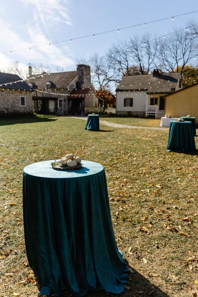 Fancy Peacock Events - 2