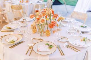 Bari Elexa Events - 18