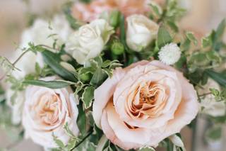 Julie Stevens Design - 10