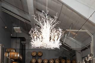 Big Cork Vineyards - 42