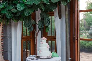 Dianne Rockwell The Cake Lady - 17