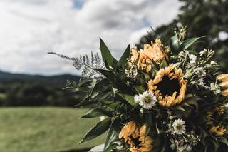 Carbone Photo Co. LLC - 49
