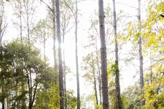 Bridlewood Ranch - 48