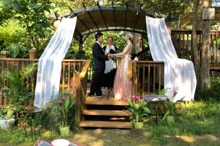 Golden Dolphin Wedding Minister - 13