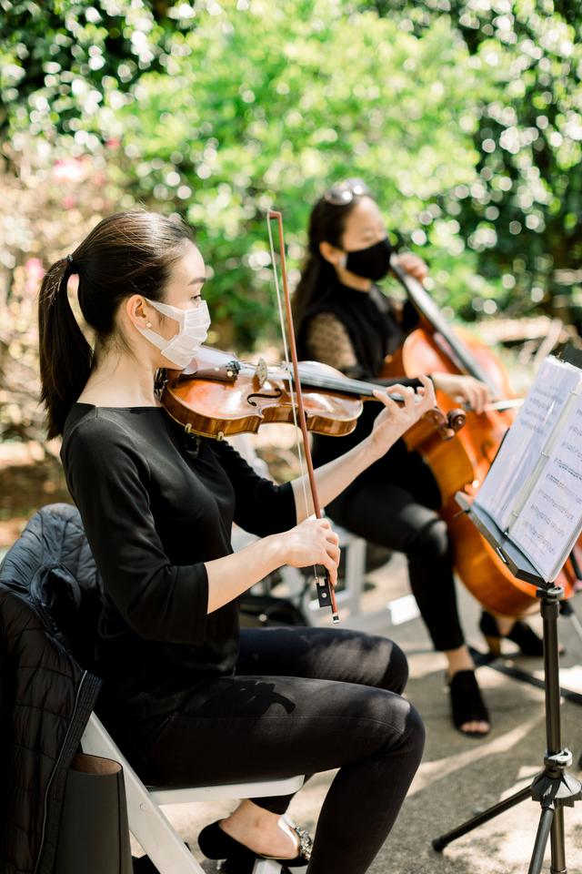 Dallas Asian Strings - 1