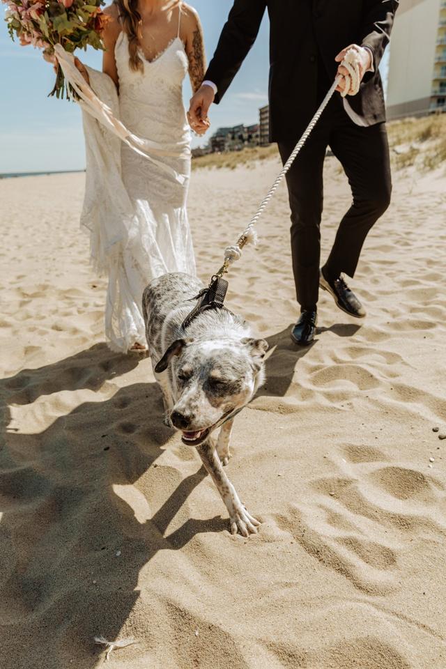 Brittany’s Pet Service LLC - 4