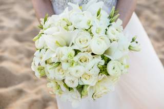 Sugar Snap Events - 26