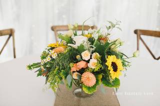 Damselfly Designs - 31