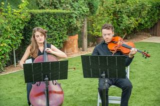 Magnolia Strings - 12