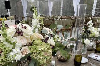 bloom room - 7