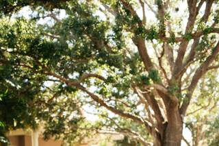 Limor Nagy Photography - 49
