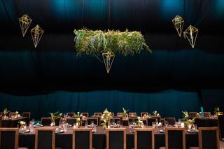 Bluebell Events - 12