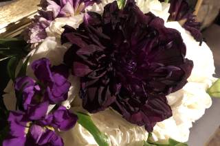 The Flowering Vine - 14