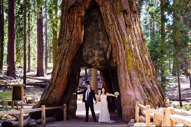 Tim Halberg Photography - 3