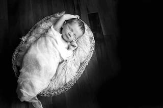 Willow Wind Photography - 63
