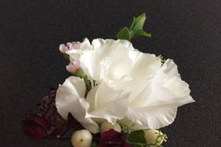 Mayfly Flowers - 92
