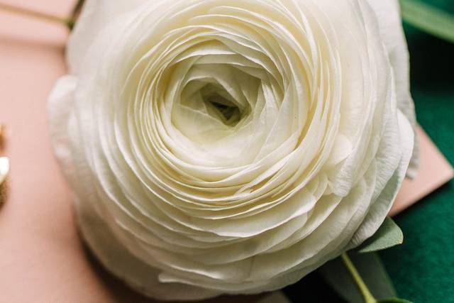 J. Morris Flowers 4