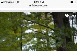 Jenna Wickland Photography - 7
