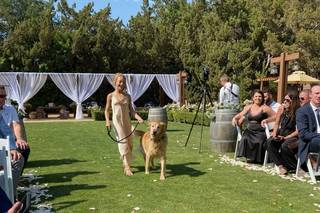 A Better Party & Design - 19
