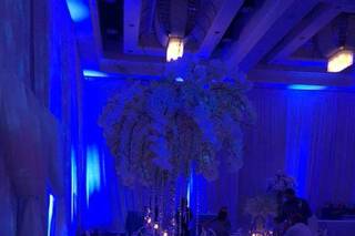 Tierra Events - 32