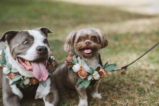 Rudy&Marta Photography - 7