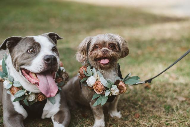 Rudy&Marta Photography - 1