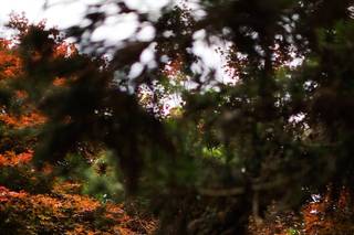Skyryder Photography - 10