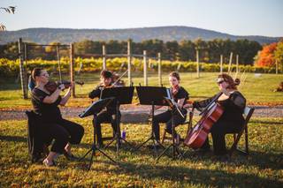 Atoka String Quartet - 10