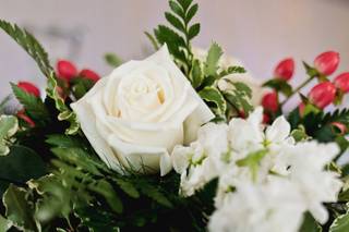 Amore Fiori Flowers and Gifts - 69