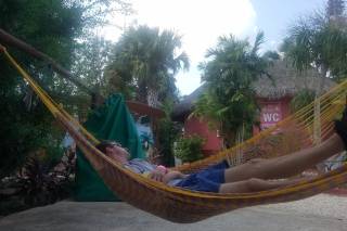 Palm Travel Group - 8