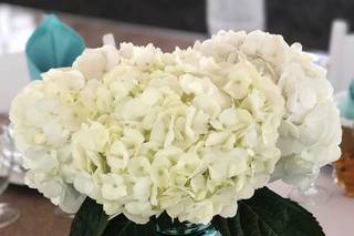 Tipsy Tulip Designs, LLC - 57