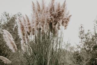 Alleen Carmel Photography - 9