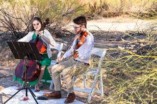 Magnolia Strings - 20