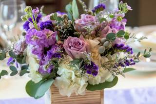 Harrington Flowers - 56