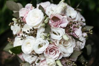 Forget Me Not Flowers - 25