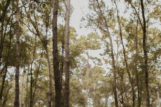 Donna Beth Creations - 8